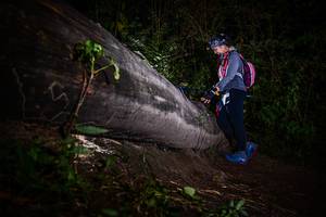 BIB: 
                            <button type="button" onclick="openModal(13518941)" class="btn btn-primary btn-sm float-right btn-popup" data-toggle="modal" data-target=".modal-high-quality">
                        <i class="fas fa-shopping-cart"></i> Add to Cart
                    </button>
                                            <button type="button" onclick="isThisMe(13518941, true)" class="btn btn-success btn-sm float-right btn-popup btn-isme hidden" data-toggle="tooltip" data-placement="bottom" title="นี่คือรูปของคุณใช่ไหม คลิกที่นี่เพื่อเอาเข้าอัลบั้ม">
                        <i class="fas fa-plus"></i> Add to album
                    </button>
                    <button type="button" onclick="isThisMe(13518941, false)" class="btn btn-warning btn-sm float-right btn-popup btn-isnotme hidden">
                        <i class="fas fa-ban"></i> Remove from album
                    </button>