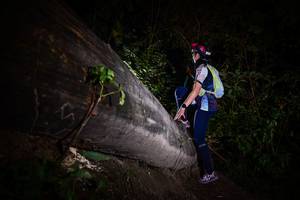 BIB: 
                            <button type="button" onclick="openModal(13518045)" class="btn btn-primary btn-sm float-right btn-popup" data-toggle="modal" data-target=".modal-high-quality">
                        <i class="fas fa-shopping-cart"></i> Add to Cart
                    </button>
                                            <button type="button" onclick="isThisMe(13518045, true)" class="btn btn-success btn-sm float-right btn-popup btn-isme hidden" data-toggle="tooltip" data-placement="bottom" title="นี่คือรูปของคุณใช่ไหม คลิกที่นี่เพื่อเอาเข้าอัลบั้ม">
                        <i class="fas fa-plus"></i> Add to album
                    </button>
                    <button type="button" onclick="isThisMe(13518045, false)" class="btn btn-warning btn-sm float-right btn-popup btn-isnotme hidden">
                        <i class="fas fa-ban"></i> Remove from album
                    </button>