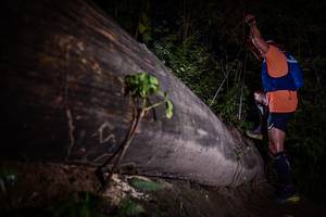 BIB: 
                            <button type="button" onclick="openModal(13517929)" class="btn btn-primary btn-sm float-right btn-popup" data-toggle="modal" data-target=".modal-high-quality">
                        <i class="fas fa-shopping-cart"></i> Add to Cart
                    </button>
                                            <button type="button" onclick="isThisMe(13517929, true)" class="btn btn-success btn-sm float-right btn-popup btn-isme hidden" data-toggle="tooltip" data-placement="bottom" title="นี่คือรูปของคุณใช่ไหม คลิกที่นี่เพื่อเอาเข้าอัลบั้ม">
                        <i class="fas fa-plus"></i> Add to album
                    </button>
                    <button type="button" onclick="isThisMe(13517929, false)" class="btn btn-warning btn-sm float-right btn-popup btn-isnotme hidden">
                        <i class="fas fa-ban"></i> Remove from album
                    </button>