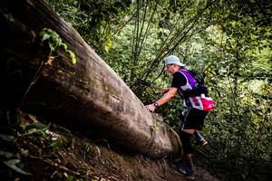 BIB: 
                            <button type="button" onclick="openModal(13525877)" class="btn btn-primary btn-sm float-right btn-popup" data-toggle="modal" data-target=".modal-high-quality">
                        <i class="fas fa-shopping-cart"></i> Add to Cart
                    </button>
                                            <button type="button" onclick="isThisMe(13525877, true)" class="btn btn-success btn-sm float-right btn-popup btn-isme hidden" data-toggle="tooltip" data-placement="bottom" title="นี่คือรูปของคุณใช่ไหม คลิกที่นี่เพื่อเอาเข้าอัลบั้ม">
                        <i class="fas fa-plus"></i> Add to album
                    </button>
                    <button type="button" onclick="isThisMe(13525877, false)" class="btn btn-warning btn-sm float-right btn-popup btn-isnotme hidden">
                        <i class="fas fa-ban"></i> Remove from album
                    </button>