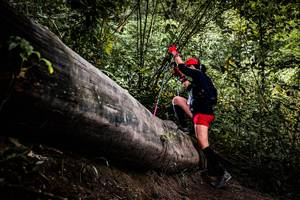 BIB: 
                            <button type="button" onclick="openModal(13525744)" class="btn btn-primary btn-sm float-right btn-popup" data-toggle="modal" data-target=".modal-high-quality">
                        <i class="fas fa-shopping-cart"></i> Add to Cart
                    </button>
                                            <button type="button" onclick="isThisMe(13525744, true)" class="btn btn-success btn-sm float-right btn-popup btn-isme hidden" data-toggle="tooltip" data-placement="bottom" title="นี่คือรูปของคุณใช่ไหม คลิกที่นี่เพื่อเอาเข้าอัลบั้ม">
                        <i class="fas fa-plus"></i> Add to album
                    </button>
                    <button type="button" onclick="isThisMe(13525744, false)" class="btn btn-warning btn-sm float-right btn-popup btn-isnotme hidden">
                        <i class="fas fa-ban"></i> Remove from album
                    </button>