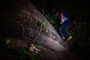 BIB: 
                            <button type="button" onclick="openModal(13517943)" class="btn btn-primary btn-sm float-right btn-popup" data-toggle="modal" data-target=".modal-high-quality">
                        <i class="fas fa-shopping-cart"></i> Add to Cart
                    </button>
                                            <button type="button" onclick="isThisMe(13517943, true)" class="btn btn-success btn-sm float-right btn-popup btn-isme hidden" data-toggle="tooltip" data-placement="bottom" title="นี่คือรูปของคุณใช่ไหม คลิกที่นี่เพื่อเอาเข้าอัลบั้ม">
                        <i class="fas fa-plus"></i> Add to album
                    </button>
                    <button type="button" onclick="isThisMe(13517943, false)" class="btn btn-warning btn-sm float-right btn-popup btn-isnotme hidden">
                        <i class="fas fa-ban"></i> Remove from album
                    </button>