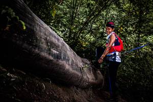 BIB: 
                            <button type="button" onclick="openModal(13525586)" class="btn btn-primary btn-sm float-right btn-popup" data-toggle="modal" data-target=".modal-high-quality">
                        <i class="fas fa-shopping-cart"></i> Add to Cart
                    </button>
                                            <button type="button" onclick="isThisMe(13525586, true)" class="btn btn-success btn-sm float-right btn-popup btn-isme hidden" data-toggle="tooltip" data-placement="bottom" title="นี่คือรูปของคุณใช่ไหม คลิกที่นี่เพื่อเอาเข้าอัลบั้ม">
                        <i class="fas fa-plus"></i> Add to album
                    </button>
                    <button type="button" onclick="isThisMe(13525586, false)" class="btn btn-warning btn-sm float-right btn-popup btn-isnotme hidden">
                        <i class="fas fa-ban"></i> Remove from album
                    </button>