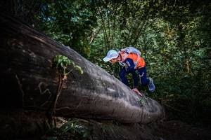 BIB: 
                            <button type="button" onclick="openModal(13519394)" class="btn btn-primary btn-sm float-right btn-popup" data-toggle="modal" data-target=".modal-high-quality">
                        <i class="fas fa-shopping-cart"></i> Add to Cart
                    </button>
                                            <button type="button" onclick="isThisMe(13519394, true)" class="btn btn-success btn-sm float-right btn-popup btn-isme hidden" data-toggle="tooltip" data-placement="bottom" title="นี่คือรูปของคุณใช่ไหม คลิกที่นี่เพื่อเอาเข้าอัลบั้ม">
                        <i class="fas fa-plus"></i> Add to album
                    </button>
                    <button type="button" onclick="isThisMe(13519394, false)" class="btn btn-warning btn-sm float-right btn-popup btn-isnotme hidden">
                        <i class="fas fa-ban"></i> Remove from album
                    </button>