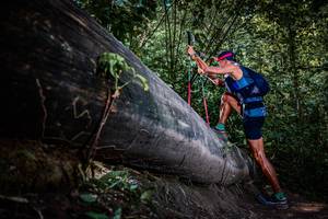 BIB: 
                            <button type="button" onclick="openModal(13519825)" class="btn btn-primary btn-sm float-right btn-popup" data-toggle="modal" data-target=".modal-high-quality">
                        <i class="fas fa-shopping-cart"></i> Add to Cart
                    </button>
                                            <button type="button" onclick="isThisMe(13519825, true)" class="btn btn-success btn-sm float-right btn-popup btn-isme hidden" data-toggle="tooltip" data-placement="bottom" title="นี่คือรูปของคุณใช่ไหม คลิกที่นี่เพื่อเอาเข้าอัลบั้ม">
                        <i class="fas fa-plus"></i> Add to album
                    </button>
                    <button type="button" onclick="isThisMe(13519825, false)" class="btn btn-warning btn-sm float-right btn-popup btn-isnotme hidden">
                        <i class="fas fa-ban"></i> Remove from album
                    </button>