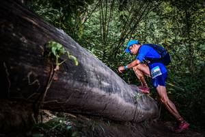 BIB: 
                            <button type="button" onclick="openModal(13519898)" class="btn btn-primary btn-sm float-right btn-popup" data-toggle="modal" data-target=".modal-high-quality">
                        <i class="fas fa-shopping-cart"></i> Add to Cart
                    </button>
                                            <button type="button" onclick="isThisMe(13519898, true)" class="btn btn-success btn-sm float-right btn-popup btn-isme hidden" data-toggle="tooltip" data-placement="bottom" title="นี่คือรูปของคุณใช่ไหม คลิกที่นี่เพื่อเอาเข้าอัลบั้ม">
                        <i class="fas fa-plus"></i> Add to album
                    </button>
                    <button type="button" onclick="isThisMe(13519898, false)" class="btn btn-warning btn-sm float-right btn-popup btn-isnotme hidden">
                        <i class="fas fa-ban"></i> Remove from album
                    </button>