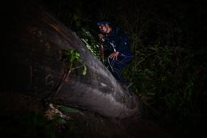 BIB: 
                            <button type="button" onclick="openModal(13518488)" class="btn btn-primary btn-sm float-right btn-popup" data-toggle="modal" data-target=".modal-high-quality">
                        <i class="fas fa-shopping-cart"></i> Add to Cart
                    </button>
                                            <button type="button" onclick="isThisMe(13518488, true)" class="btn btn-success btn-sm float-right btn-popup btn-isme hidden" data-toggle="tooltip" data-placement="bottom" title="นี่คือรูปของคุณใช่ไหม คลิกที่นี่เพื่อเอาเข้าอัลบั้ม">
                        <i class="fas fa-plus"></i> Add to album
                    </button>
                    <button type="button" onclick="isThisMe(13518488, false)" class="btn btn-warning btn-sm float-right btn-popup btn-isnotme hidden">
                        <i class="fas fa-ban"></i> Remove from album
                    </button>