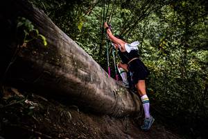 BIB: 
                            <button type="button" onclick="openModal(13525594)" class="btn btn-primary btn-sm float-right btn-popup" data-toggle="modal" data-target=".modal-high-quality">
                        <i class="fas fa-shopping-cart"></i> Add to Cart
                    </button>
                                            <button type="button" onclick="isThisMe(13525594, true)" class="btn btn-success btn-sm float-right btn-popup btn-isme hidden" data-toggle="tooltip" data-placement="bottom" title="นี่คือรูปของคุณใช่ไหม คลิกที่นี่เพื่อเอาเข้าอัลบั้ม">
                        <i class="fas fa-plus"></i> Add to album
                    </button>
                    <button type="button" onclick="isThisMe(13525594, false)" class="btn btn-warning btn-sm float-right btn-popup btn-isnotme hidden">
                        <i class="fas fa-ban"></i> Remove from album
                    </button>