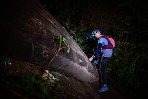 BIB: 
                            <button type="button" onclick="openModal(13518563)" class="btn btn-primary btn-sm float-right btn-popup" data-toggle="modal" data-target=".modal-high-quality">
                        <i class="fas fa-shopping-cart"></i> Add to Cart
                    </button>
                                            <button type="button" onclick="isThisMe(13518563, true)" class="btn btn-success btn-sm float-right btn-popup btn-isme hidden" data-toggle="tooltip" data-placement="bottom" title="นี่คือรูปของคุณใช่ไหม คลิกที่นี่เพื่อเอาเข้าอัลบั้ม">
                        <i class="fas fa-plus"></i> Add to album
                    </button>
                    <button type="button" onclick="isThisMe(13518563, false)" class="btn btn-warning btn-sm float-right btn-popup btn-isnotme hidden">
                        <i class="fas fa-ban"></i> Remove from album
                    </button>