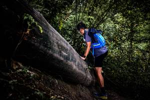 BIB: 
                            <button type="button" onclick="openModal(13525366)" class="btn btn-primary btn-sm float-right btn-popup" data-toggle="modal" data-target=".modal-high-quality">
                        <i class="fas fa-shopping-cart"></i> Add to Cart
                    </button>
                                            <button type="button" onclick="isThisMe(13525366, true)" class="btn btn-success btn-sm float-right btn-popup btn-isme hidden" data-toggle="tooltip" data-placement="bottom" title="นี่คือรูปของคุณใช่ไหม คลิกที่นี่เพื่อเอาเข้าอัลบั้ม">
                        <i class="fas fa-plus"></i> Add to album
                    </button>
                    <button type="button" onclick="isThisMe(13525366, false)" class="btn btn-warning btn-sm float-right btn-popup btn-isnotme hidden">
                        <i class="fas fa-ban"></i> Remove from album
                    </button>