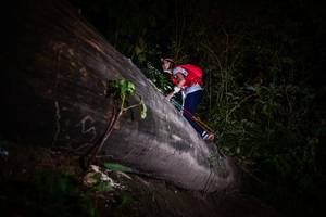 BIB: 
                            <button type="button" onclick="openModal(13518186)" class="btn btn-primary btn-sm float-right btn-popup" data-toggle="modal" data-target=".modal-high-quality">
                        <i class="fas fa-shopping-cart"></i> Add to Cart
                    </button>
                                            <button type="button" onclick="isThisMe(13518186, true)" class="btn btn-success btn-sm float-right btn-popup btn-isme hidden" data-toggle="tooltip" data-placement="bottom" title="นี่คือรูปของคุณใช่ไหม คลิกที่นี่เพื่อเอาเข้าอัลบั้ม">
                        <i class="fas fa-plus"></i> Add to album
                    </button>
                    <button type="button" onclick="isThisMe(13518186, false)" class="btn btn-warning btn-sm float-right btn-popup btn-isnotme hidden">
                        <i class="fas fa-ban"></i> Remove from album
                    </button>