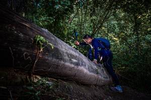 BIB: 
                            <button type="button" onclick="openModal(13519556)" class="btn btn-primary btn-sm float-right btn-popup" data-toggle="modal" data-target=".modal-high-quality">
                        <i class="fas fa-shopping-cart"></i> Add to Cart
                    </button>
                                            <button type="button" onclick="isThisMe(13519556, true)" class="btn btn-success btn-sm float-right btn-popup btn-isme hidden" data-toggle="tooltip" data-placement="bottom" title="นี่คือรูปของคุณใช่ไหม คลิกที่นี่เพื่อเอาเข้าอัลบั้ม">
                        <i class="fas fa-plus"></i> Add to album
                    </button>
                    <button type="button" onclick="isThisMe(13519556, false)" class="btn btn-warning btn-sm float-right btn-popup btn-isnotme hidden">
                        <i class="fas fa-ban"></i> Remove from album
                    </button>