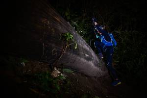 BIB: 
                            <button type="button" onclick="openModal(13518461)" class="btn btn-primary btn-sm float-right btn-popup" data-toggle="modal" data-target=".modal-high-quality">
                        <i class="fas fa-shopping-cart"></i> Add to Cart
                    </button>
                                            <button type="button" onclick="isThisMe(13518461, true)" class="btn btn-success btn-sm float-right btn-popup btn-isme hidden" data-toggle="tooltip" data-placement="bottom" title="นี่คือรูปของคุณใช่ไหม คลิกที่นี่เพื่อเอาเข้าอัลบั้ม">
                        <i class="fas fa-plus"></i> Add to album
                    </button>
                    <button type="button" onclick="isThisMe(13518461, false)" class="btn btn-warning btn-sm float-right btn-popup btn-isnotme hidden">
                        <i class="fas fa-ban"></i> Remove from album
                    </button>