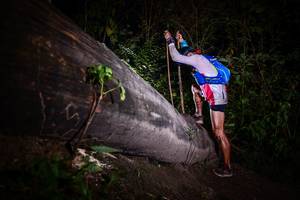 BIB: 
                            <button type="button" onclick="openModal(13518391)" class="btn btn-primary btn-sm float-right btn-popup" data-toggle="modal" data-target=".modal-high-quality">
                        <i class="fas fa-shopping-cart"></i> Add to Cart
                    </button>
                                            <button type="button" onclick="isThisMe(13518391, true)" class="btn btn-success btn-sm float-right btn-popup btn-isme hidden" data-toggle="tooltip" data-placement="bottom" title="นี่คือรูปของคุณใช่ไหม คลิกที่นี่เพื่อเอาเข้าอัลบั้ม">
                        <i class="fas fa-plus"></i> Add to album
                    </button>
                    <button type="button" onclick="isThisMe(13518391, false)" class="btn btn-warning btn-sm float-right btn-popup btn-isnotme hidden">
                        <i class="fas fa-ban"></i> Remove from album
                    </button>