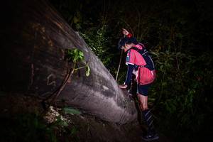 BIB: 
                            <button type="button" onclick="openModal(13518323)" class="btn btn-primary btn-sm float-right btn-popup" data-toggle="modal" data-target=".modal-high-quality">
                        <i class="fas fa-shopping-cart"></i> Add to Cart
                    </button>
                                            <button type="button" onclick="isThisMe(13518323, true)" class="btn btn-success btn-sm float-right btn-popup btn-isme hidden" data-toggle="tooltip" data-placement="bottom" title="นี่คือรูปของคุณใช่ไหม คลิกที่นี่เพื่อเอาเข้าอัลบั้ม">
                        <i class="fas fa-plus"></i> Add to album
                    </button>
                    <button type="button" onclick="isThisMe(13518323, false)" class="btn btn-warning btn-sm float-right btn-popup btn-isnotme hidden">
                        <i class="fas fa-ban"></i> Remove from album
                    </button>