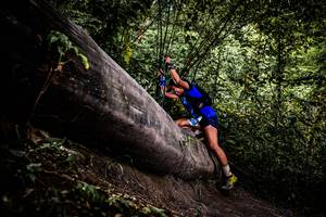 BIB: 
                            <button type="button" onclick="openModal(13525238)" class="btn btn-primary btn-sm float-right btn-popup" data-toggle="modal" data-target=".modal-high-quality">
                        <i class="fas fa-shopping-cart"></i> Add to Cart
                    </button>
                                            <button type="button" onclick="isThisMe(13525238, true)" class="btn btn-success btn-sm float-right btn-popup btn-isme hidden" data-toggle="tooltip" data-placement="bottom" title="นี่คือรูปของคุณใช่ไหม คลิกที่นี่เพื่อเอาเข้าอัลบั้ม">
                        <i class="fas fa-plus"></i> Add to album
                    </button>
                    <button type="button" onclick="isThisMe(13525238, false)" class="btn btn-warning btn-sm float-right btn-popup btn-isnotme hidden">
                        <i class="fas fa-ban"></i> Remove from album
                    </button>