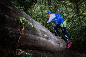 BIB: 
                            <button type="button" onclick="openModal(13519755)" class="btn btn-primary btn-sm float-right btn-popup" data-toggle="modal" data-target=".modal-high-quality">
                        <i class="fas fa-shopping-cart"></i> Add to Cart
                    </button>
                                            <button type="button" onclick="isThisMe(13519755, true)" class="btn btn-success btn-sm float-right btn-popup btn-isme hidden" data-toggle="tooltip" data-placement="bottom" title="นี่คือรูปของคุณใช่ไหม คลิกที่นี่เพื่อเอาเข้าอัลบั้ม">
                        <i class="fas fa-plus"></i> Add to album
                    </button>
                    <button type="button" onclick="isThisMe(13519755, false)" class="btn btn-warning btn-sm float-right btn-popup btn-isnotme hidden">
                        <i class="fas fa-ban"></i> Remove from album
                    </button>