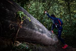 BIB: 
                            <button type="button" onclick="openModal(13519762)" class="btn btn-primary btn-sm float-right btn-popup" data-toggle="modal" data-target=".modal-high-quality">
                        <i class="fas fa-shopping-cart"></i> Add to Cart
                    </button>
                                            <button type="button" onclick="isThisMe(13519762, true)" class="btn btn-success btn-sm float-right btn-popup btn-isme hidden" data-toggle="tooltip" data-placement="bottom" title="นี่คือรูปของคุณใช่ไหม คลิกที่นี่เพื่อเอาเข้าอัลบั้ม">
                        <i class="fas fa-plus"></i> Add to album
                    </button>
                    <button type="button" onclick="isThisMe(13519762, false)" class="btn btn-warning btn-sm float-right btn-popup btn-isnotme hidden">
                        <i class="fas fa-ban"></i> Remove from album
                    </button>