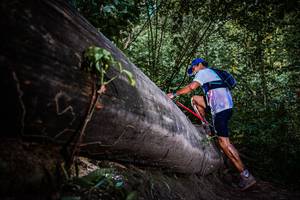 BIB: 
                            <button type="button" onclick="openModal(13519660)" class="btn btn-primary btn-sm float-right btn-popup" data-toggle="modal" data-target=".modal-high-quality">
                        <i class="fas fa-shopping-cart"></i> Add to Cart
                    </button>
                                            <button type="button" onclick="isThisMe(13519660, true)" class="btn btn-success btn-sm float-right btn-popup btn-isme hidden" data-toggle="tooltip" data-placement="bottom" title="นี่คือรูปของคุณใช่ไหม คลิกที่นี่เพื่อเอาเข้าอัลบั้ม">
                        <i class="fas fa-plus"></i> Add to album
                    </button>
                    <button type="button" onclick="isThisMe(13519660, false)" class="btn btn-warning btn-sm float-right btn-popup btn-isnotme hidden">
                        <i class="fas fa-ban"></i> Remove from album
                    </button>