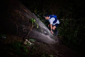 BIB: 
                            <button type="button" onclick="openModal(13518139)" class="btn btn-primary btn-sm float-right btn-popup" data-toggle="modal" data-target=".modal-high-quality">
                        <i class="fas fa-shopping-cart"></i> Add to Cart
                    </button>
                                            <button type="button" onclick="isThisMe(13518139, true)" class="btn btn-success btn-sm float-right btn-popup btn-isme hidden" data-toggle="tooltip" data-placement="bottom" title="นี่คือรูปของคุณใช่ไหม คลิกที่นี่เพื่อเอาเข้าอัลบั้ม">
                        <i class="fas fa-plus"></i> Add to album
                    </button>
                    <button type="button" onclick="isThisMe(13518139, false)" class="btn btn-warning btn-sm float-right btn-popup btn-isnotme hidden">
                        <i class="fas fa-ban"></i> Remove from album
                    </button>