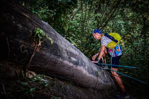 BIB: 
                            <button type="button" onclick="openModal(13519585)" class="btn btn-primary btn-sm float-right btn-popup" data-toggle="modal" data-target=".modal-high-quality">
                        <i class="fas fa-shopping-cart"></i> Add to Cart
                    </button>
                                            <button type="button" onclick="isThisMe(13519585, true)" class="btn btn-success btn-sm float-right btn-popup btn-isme hidden" data-toggle="tooltip" data-placement="bottom" title="นี่คือรูปของคุณใช่ไหม คลิกที่นี่เพื่อเอาเข้าอัลบั้ม">
                        <i class="fas fa-plus"></i> Add to album
                    </button>
                    <button type="button" onclick="isThisMe(13519585, false)" class="btn btn-warning btn-sm float-right btn-popup btn-isnotme hidden">
                        <i class="fas fa-ban"></i> Remove from album
                    </button>