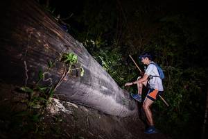 BIB: 
                            <button type="button" onclick="openModal(13517595)" class="btn btn-primary btn-sm float-right btn-popup" data-toggle="modal" data-target=".modal-high-quality">
                        <i class="fas fa-shopping-cart"></i> Add to Cart
                    </button>
                                            <button type="button" onclick="isThisMe(13517595, true)" class="btn btn-success btn-sm float-right btn-popup btn-isme hidden" data-toggle="tooltip" data-placement="bottom" title="นี่คือรูปของคุณใช่ไหม คลิกที่นี่เพื่อเอาเข้าอัลบั้ม">
                        <i class="fas fa-plus"></i> Add to album
                    </button>
                    <button type="button" onclick="isThisMe(13517595, false)" class="btn btn-warning btn-sm float-right btn-popup btn-isnotme hidden">
                        <i class="fas fa-ban"></i> Remove from album
                    </button>