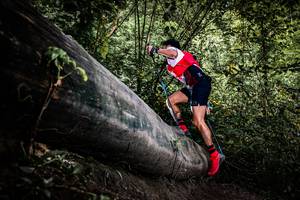 BIB: 
                            <button type="button" onclick="openModal(13523049)" class="btn btn-primary btn-sm float-right btn-popup" data-toggle="modal" data-target=".modal-high-quality">
                        <i class="fas fa-shopping-cart"></i> Add to Cart
                    </button>
                                            <button type="button" onclick="isThisMe(13523049, true)" class="btn btn-success btn-sm float-right btn-popup btn-isme hidden" data-toggle="tooltip" data-placement="bottom" title="นี่คือรูปของคุณใช่ไหม คลิกที่นี่เพื่อเอาเข้าอัลบั้ม">
                        <i class="fas fa-plus"></i> Add to album
                    </button>
                    <button type="button" onclick="isThisMe(13523049, false)" class="btn btn-warning btn-sm float-right btn-popup btn-isnotme hidden">
                        <i class="fas fa-ban"></i> Remove from album
                    </button>