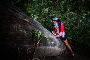 BIB: 
                            <button type="button" onclick="openModal(13519260)" class="btn btn-primary btn-sm float-right btn-popup" data-toggle="modal" data-target=".modal-high-quality">
                        <i class="fas fa-shopping-cart"></i> Add to Cart
                    </button>
                                            <button type="button" onclick="isThisMe(13519260, true)" class="btn btn-success btn-sm float-right btn-popup btn-isme hidden" data-toggle="tooltip" data-placement="bottom" title="นี่คือรูปของคุณใช่ไหม คลิกที่นี่เพื่อเอาเข้าอัลบั้ม">
                        <i class="fas fa-plus"></i> Add to album
                    </button>
                    <button type="button" onclick="isThisMe(13519260, false)" class="btn btn-warning btn-sm float-right btn-popup btn-isnotme hidden">
                        <i class="fas fa-ban"></i> Remove from album
                    </button>