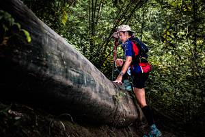 BIB: 
                            <button type="button" onclick="openModal(13525814)" class="btn btn-primary btn-sm float-right btn-popup" data-toggle="modal" data-target=".modal-high-quality">
                        <i class="fas fa-shopping-cart"></i> Add to Cart
                    </button>
                                            <button type="button" onclick="isThisMe(13525814, true)" class="btn btn-success btn-sm float-right btn-popup btn-isme hidden" data-toggle="tooltip" data-placement="bottom" title="นี่คือรูปของคุณใช่ไหม คลิกที่นี่เพื่อเอาเข้าอัลบั้ม">
                        <i class="fas fa-plus"></i> Add to album
                    </button>
                    <button type="button" onclick="isThisMe(13525814, false)" class="btn btn-warning btn-sm float-right btn-popup btn-isnotme hidden">
                        <i class="fas fa-ban"></i> Remove from album
                    </button>