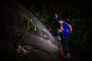 BIB: 
                            <button type="button" onclick="openModal(13518064)" class="btn btn-primary btn-sm float-right btn-popup" data-toggle="modal" data-target=".modal-high-quality">
                        <i class="fas fa-shopping-cart"></i> Add to Cart
                    </button>
                                            <button type="button" onclick="isThisMe(13518064, true)" class="btn btn-success btn-sm float-right btn-popup btn-isme hidden" data-toggle="tooltip" data-placement="bottom" title="นี่คือรูปของคุณใช่ไหม คลิกที่นี่เพื่อเอาเข้าอัลบั้ม">
                        <i class="fas fa-plus"></i> Add to album
                    </button>
                    <button type="button" onclick="isThisMe(13518064, false)" class="btn btn-warning btn-sm float-right btn-popup btn-isnotme hidden">
                        <i class="fas fa-ban"></i> Remove from album
                    </button>