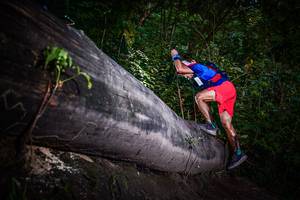 BIB: 
                            <button type="button" onclick="openModal(13519212)" class="btn btn-primary btn-sm float-right btn-popup" data-toggle="modal" data-target=".modal-high-quality">
                        <i class="fas fa-shopping-cart"></i> Add to Cart
                    </button>
                                            <button type="button" onclick="isThisMe(13519212, true)" class="btn btn-success btn-sm float-right btn-popup btn-isme hidden" data-toggle="tooltip" data-placement="bottom" title="นี่คือรูปของคุณใช่ไหม คลิกที่นี่เพื่อเอาเข้าอัลบั้ม">
                        <i class="fas fa-plus"></i> Add to album
                    </button>
                    <button type="button" onclick="isThisMe(13519212, false)" class="btn btn-warning btn-sm float-right btn-popup btn-isnotme hidden">
                        <i class="fas fa-ban"></i> Remove from album
                    </button>