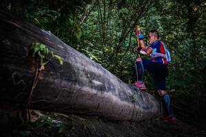 BIB: 
                            <button type="button" onclick="openModal(13519540)" class="btn btn-primary btn-sm float-right btn-popup" data-toggle="modal" data-target=".modal-high-quality">
                        <i class="fas fa-shopping-cart"></i> Add to Cart
                    </button>
                                            <button type="button" onclick="isThisMe(13519540, true)" class="btn btn-success btn-sm float-right btn-popup btn-isme hidden" data-toggle="tooltip" data-placement="bottom" title="นี่คือรูปของคุณใช่ไหม คลิกที่นี่เพื่อเอาเข้าอัลบั้ม">
                        <i class="fas fa-plus"></i> Add to album
                    </button>
                    <button type="button" onclick="isThisMe(13519540, false)" class="btn btn-warning btn-sm float-right btn-popup btn-isnotme hidden">
                        <i class="fas fa-ban"></i> Remove from album
                    </button>