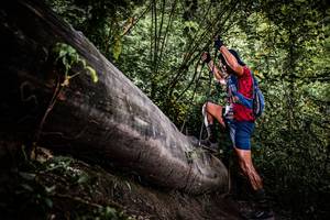 BIB: 
                            <button type="button" onclick="openModal(13523029)" class="btn btn-primary btn-sm float-right btn-popup" data-toggle="modal" data-target=".modal-high-quality">
                        <i class="fas fa-shopping-cart"></i> Add to Cart
                    </button>
                                            <button type="button" onclick="isThisMe(13523029, true)" class="btn btn-success btn-sm float-right btn-popup btn-isme hidden" data-toggle="tooltip" data-placement="bottom" title="นี่คือรูปของคุณใช่ไหม คลิกที่นี่เพื่อเอาเข้าอัลบั้ม">
                        <i class="fas fa-plus"></i> Add to album
                    </button>
                    <button type="button" onclick="isThisMe(13523029, false)" class="btn btn-warning btn-sm float-right btn-popup btn-isnotme hidden">
                        <i class="fas fa-ban"></i> Remove from album
                    </button>