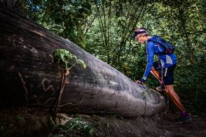 BIB: 
                            <button type="button" onclick="openModal(13519971)" class="btn btn-primary btn-sm float-right btn-popup" data-toggle="modal" data-target=".modal-high-quality">
                        <i class="fas fa-shopping-cart"></i> Add to Cart
                    </button>
                                            <button type="button" onclick="isThisMe(13519971, true)" class="btn btn-success btn-sm float-right btn-popup btn-isme hidden" data-toggle="tooltip" data-placement="bottom" title="นี่คือรูปของคุณใช่ไหม คลิกที่นี่เพื่อเอาเข้าอัลบั้ม">
                        <i class="fas fa-plus"></i> Add to album
                    </button>
                    <button type="button" onclick="isThisMe(13519971, false)" class="btn btn-warning btn-sm float-right btn-popup btn-isnotme hidden">
                        <i class="fas fa-ban"></i> Remove from album
                    </button>