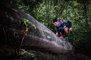 BIB: 
                            <button type="button" onclick="openModal(13519910)" class="btn btn-primary btn-sm float-right btn-popup" data-toggle="modal" data-target=".modal-high-quality">
                        <i class="fas fa-shopping-cart"></i> Add to Cart
                    </button>
                                            <button type="button" onclick="isThisMe(13519910, true)" class="btn btn-success btn-sm float-right btn-popup btn-isme hidden" data-toggle="tooltip" data-placement="bottom" title="นี่คือรูปของคุณใช่ไหม คลิกที่นี่เพื่อเอาเข้าอัลบั้ม">
                        <i class="fas fa-plus"></i> Add to album
                    </button>
                    <button type="button" onclick="isThisMe(13519910, false)" class="btn btn-warning btn-sm float-right btn-popup btn-isnotme hidden">
                        <i class="fas fa-ban"></i> Remove from album
                    </button>