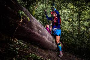 BIB: 
                            <button type="button" onclick="openModal(13523325)" class="btn btn-primary btn-sm float-right btn-popup" data-toggle="modal" data-target=".modal-high-quality">
                        <i class="fas fa-shopping-cart"></i> Add to Cart
                    </button>
                                            <button type="button" onclick="isThisMe(13523325, true)" class="btn btn-success btn-sm float-right btn-popup btn-isme hidden" data-toggle="tooltip" data-placement="bottom" title="นี่คือรูปของคุณใช่ไหม คลิกที่นี่เพื่อเอาเข้าอัลบั้ม">
                        <i class="fas fa-plus"></i> Add to album
                    </button>
                    <button type="button" onclick="isThisMe(13523325, false)" class="btn btn-warning btn-sm float-right btn-popup btn-isnotme hidden">
                        <i class="fas fa-ban"></i> Remove from album
                    </button>