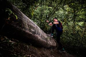 BIB: 
                            <button type="button" onclick="openModal(13525648)" class="btn btn-primary btn-sm float-right btn-popup" data-toggle="modal" data-target=".modal-high-quality">
                        <i class="fas fa-shopping-cart"></i> Add to Cart
                    </button>
                                            <button type="button" onclick="isThisMe(13525648, true)" class="btn btn-success btn-sm float-right btn-popup btn-isme hidden" data-toggle="tooltip" data-placement="bottom" title="นี่คือรูปของคุณใช่ไหม คลิกที่นี่เพื่อเอาเข้าอัลบั้ม">
                        <i class="fas fa-plus"></i> Add to album
                    </button>
                    <button type="button" onclick="isThisMe(13525648, false)" class="btn btn-warning btn-sm float-right btn-popup btn-isnotme hidden">
                        <i class="fas fa-ban"></i> Remove from album
                    </button>