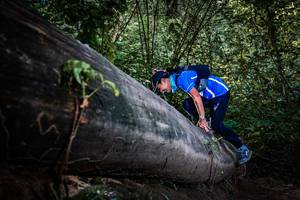 BIB: 
                            <button type="button" onclick="openModal(13519761)" class="btn btn-primary btn-sm float-right btn-popup" data-toggle="modal" data-target=".modal-high-quality">
                        <i class="fas fa-shopping-cart"></i> Add to Cart
                    </button>
                                            <button type="button" onclick="isThisMe(13519761, true)" class="btn btn-success btn-sm float-right btn-popup btn-isme hidden" data-toggle="tooltip" data-placement="bottom" title="นี่คือรูปของคุณใช่ไหม คลิกที่นี่เพื่อเอาเข้าอัลบั้ม">
                        <i class="fas fa-plus"></i> Add to album
                    </button>
                    <button type="button" onclick="isThisMe(13519761, false)" class="btn btn-warning btn-sm float-right btn-popup btn-isnotme hidden">
                        <i class="fas fa-ban"></i> Remove from album
                    </button>