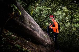 BIB: 
                            <button type="button" onclick="openModal(13525291)" class="btn btn-primary btn-sm float-right btn-popup" data-toggle="modal" data-target=".modal-high-quality">
                        <i class="fas fa-shopping-cart"></i> Add to Cart
                    </button>
                                            <button type="button" onclick="isThisMe(13525291, true)" class="btn btn-success btn-sm float-right btn-popup btn-isme hidden" data-toggle="tooltip" data-placement="bottom" title="นี่คือรูปของคุณใช่ไหม คลิกที่นี่เพื่อเอาเข้าอัลบั้ม">
                        <i class="fas fa-plus"></i> Add to album
                    </button>
                    <button type="button" onclick="isThisMe(13525291, false)" class="btn btn-warning btn-sm float-right btn-popup btn-isnotme hidden">
                        <i class="fas fa-ban"></i> Remove from album
                    </button>