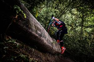 BIB: 
                            <button type="button" onclick="openModal(13525220)" class="btn btn-primary btn-sm float-right btn-popup" data-toggle="modal" data-target=".modal-high-quality">
                        <i class="fas fa-shopping-cart"></i> Add to Cart
                    </button>
                                            <button type="button" onclick="isThisMe(13525220, true)" class="btn btn-success btn-sm float-right btn-popup btn-isme hidden" data-toggle="tooltip" data-placement="bottom" title="นี่คือรูปของคุณใช่ไหม คลิกที่นี่เพื่อเอาเข้าอัลบั้ม">
                        <i class="fas fa-plus"></i> Add to album
                    </button>
                    <button type="button" onclick="isThisMe(13525220, false)" class="btn btn-warning btn-sm float-right btn-popup btn-isnotme hidden">
                        <i class="fas fa-ban"></i> Remove from album
                    </button>