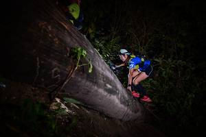 BIB: 
                            <button type="button" onclick="openModal(13518179)" class="btn btn-primary btn-sm float-right btn-popup" data-toggle="modal" data-target=".modal-high-quality">
                        <i class="fas fa-shopping-cart"></i> Add to Cart
                    </button>
                                            <button type="button" onclick="isThisMe(13518179, true)" class="btn btn-success btn-sm float-right btn-popup btn-isme hidden" data-toggle="tooltip" data-placement="bottom" title="นี่คือรูปของคุณใช่ไหม คลิกที่นี่เพื่อเอาเข้าอัลบั้ม">
                        <i class="fas fa-plus"></i> Add to album
                    </button>
                    <button type="button" onclick="isThisMe(13518179, false)" class="btn btn-warning btn-sm float-right btn-popup btn-isnotme hidden">
                        <i class="fas fa-ban"></i> Remove from album
                    </button>