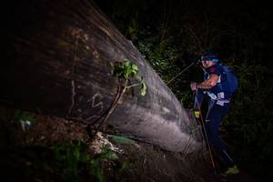 BIB: 
                            <button type="button" onclick="openModal(13517939)" class="btn btn-primary btn-sm float-right btn-popup" data-toggle="modal" data-target=".modal-high-quality">
                        <i class="fas fa-shopping-cart"></i> Add to Cart
                    </button>
                                            <button type="button" onclick="isThisMe(13517939, true)" class="btn btn-success btn-sm float-right btn-popup btn-isme hidden" data-toggle="tooltip" data-placement="bottom" title="นี่คือรูปของคุณใช่ไหม คลิกที่นี่เพื่อเอาเข้าอัลบั้ม">
                        <i class="fas fa-plus"></i> Add to album
                    </button>
                    <button type="button" onclick="isThisMe(13517939, false)" class="btn btn-warning btn-sm float-right btn-popup btn-isnotme hidden">
                        <i class="fas fa-ban"></i> Remove from album
                    </button>