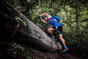 BIB: 
                            <button type="button" onclick="openModal(13523673)" class="btn btn-primary btn-sm float-right btn-popup" data-toggle="modal" data-target=".modal-high-quality">
                        <i class="fas fa-shopping-cart"></i> Add to Cart
                    </button>
                                            <button type="button" onclick="isThisMe(13523673, true)" class="btn btn-success btn-sm float-right btn-popup btn-isme hidden" data-toggle="tooltip" data-placement="bottom" title="นี่คือรูปของคุณใช่ไหม คลิกที่นี่เพื่อเอาเข้าอัลบั้ม">
                        <i class="fas fa-plus"></i> Add to album
                    </button>
                    <button type="button" onclick="isThisMe(13523673, false)" class="btn btn-warning btn-sm float-right btn-popup btn-isnotme hidden">
                        <i class="fas fa-ban"></i> Remove from album
                    </button>