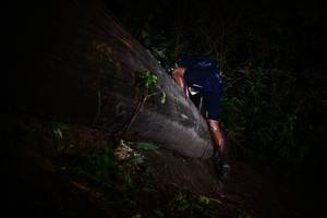 BIB: 
                            <button type="button" onclick="openModal(13518456)" class="btn btn-primary btn-sm float-right btn-popup" data-toggle="modal" data-target=".modal-high-quality">
                        <i class="fas fa-shopping-cart"></i> Add to Cart
                    </button>
                                            <button type="button" onclick="isThisMe(13518456, true)" class="btn btn-success btn-sm float-right btn-popup btn-isme hidden" data-toggle="tooltip" data-placement="bottom" title="นี่คือรูปของคุณใช่ไหม คลิกที่นี่เพื่อเอาเข้าอัลบั้ม">
                        <i class="fas fa-plus"></i> Add to album
                    </button>
                    <button type="button" onclick="isThisMe(13518456, false)" class="btn btn-warning btn-sm float-right btn-popup btn-isnotme hidden">
                        <i class="fas fa-ban"></i> Remove from album
                    </button>