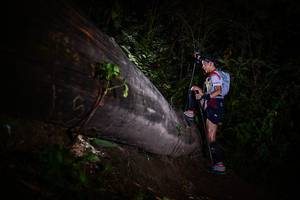 BIB: 
                            <button type="button" onclick="openModal(13518410)" class="btn btn-primary btn-sm float-right btn-popup" data-toggle="modal" data-target=".modal-high-quality">
                        <i class="fas fa-shopping-cart"></i> Add to Cart
                    </button>
                                            <button type="button" onclick="isThisMe(13518410, true)" class="btn btn-success btn-sm float-right btn-popup btn-isme hidden" data-toggle="tooltip" data-placement="bottom" title="นี่คือรูปของคุณใช่ไหม คลิกที่นี่เพื่อเอาเข้าอัลบั้ม">
                        <i class="fas fa-plus"></i> Add to album
                    </button>
                    <button type="button" onclick="isThisMe(13518410, false)" class="btn btn-warning btn-sm float-right btn-popup btn-isnotme hidden">
                        <i class="fas fa-ban"></i> Remove from album
                    </button>