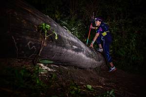 BIB: 
                            <button type="button" onclick="openModal(13518933)" class="btn btn-primary btn-sm float-right btn-popup" data-toggle="modal" data-target=".modal-high-quality">
                        <i class="fas fa-shopping-cart"></i> Add to Cart
                    </button>
                                            <button type="button" onclick="isThisMe(13518933, true)" class="btn btn-success btn-sm float-right btn-popup btn-isme hidden" data-toggle="tooltip" data-placement="bottom" title="นี่คือรูปของคุณใช่ไหม คลิกที่นี่เพื่อเอาเข้าอัลบั้ม">
                        <i class="fas fa-plus"></i> Add to album
                    </button>
                    <button type="button" onclick="isThisMe(13518933, false)" class="btn btn-warning btn-sm float-right btn-popup btn-isnotme hidden">
                        <i class="fas fa-ban"></i> Remove from album
                    </button>