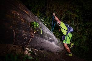 BIB: 
                            <button type="button" onclick="openModal(13519134)" class="btn btn-primary btn-sm float-right btn-popup" data-toggle="modal" data-target=".modal-high-quality">
                        <i class="fas fa-shopping-cart"></i> Add to Cart
                    </button>
                                            <button type="button" onclick="isThisMe(13519134, true)" class="btn btn-success btn-sm float-right btn-popup btn-isme hidden" data-toggle="tooltip" data-placement="bottom" title="นี่คือรูปของคุณใช่ไหม คลิกที่นี่เพื่อเอาเข้าอัลบั้ม">
                        <i class="fas fa-plus"></i> Add to album
                    </button>
                    <button type="button" onclick="isThisMe(13519134, false)" class="btn btn-warning btn-sm float-right btn-popup btn-isnotme hidden">
                        <i class="fas fa-ban"></i> Remove from album
                    </button>