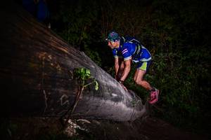 BIB: 
                            <button type="button" onclick="openModal(13519103)" class="btn btn-primary btn-sm float-right btn-popup" data-toggle="modal" data-target=".modal-high-quality">
                        <i class="fas fa-shopping-cart"></i> Add to Cart
                    </button>
                                            <button type="button" onclick="isThisMe(13519103, true)" class="btn btn-success btn-sm float-right btn-popup btn-isme hidden" data-toggle="tooltip" data-placement="bottom" title="นี่คือรูปของคุณใช่ไหม คลิกที่นี่เพื่อเอาเข้าอัลบั้ม">
                        <i class="fas fa-plus"></i> Add to album
                    </button>
                    <button type="button" onclick="isThisMe(13519103, false)" class="btn btn-warning btn-sm float-right btn-popup btn-isnotme hidden">
                        <i class="fas fa-ban"></i> Remove from album
                    </button>