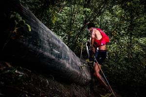 BIB: 
                            <button type="button" onclick="openModal(13525537)" class="btn btn-primary btn-sm float-right btn-popup" data-toggle="modal" data-target=".modal-high-quality">
                        <i class="fas fa-shopping-cart"></i> Add to Cart
                    </button>
                                            <button type="button" onclick="isThisMe(13525537, true)" class="btn btn-success btn-sm float-right btn-popup btn-isme hidden" data-toggle="tooltip" data-placement="bottom" title="นี่คือรูปของคุณใช่ไหม คลิกที่นี่เพื่อเอาเข้าอัลบั้ม">
                        <i class="fas fa-plus"></i> Add to album
                    </button>
                    <button type="button" onclick="isThisMe(13525537, false)" class="btn btn-warning btn-sm float-right btn-popup btn-isnotme hidden">
                        <i class="fas fa-ban"></i> Remove from album
                    </button>