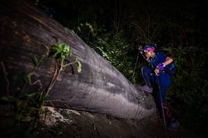 BIB: 
                            <button type="button" onclick="openModal(13517728)" class="btn btn-primary btn-sm float-right btn-popup" data-toggle="modal" data-target=".modal-high-quality">
                        <i class="fas fa-shopping-cart"></i> Add to Cart
                    </button>
                                            <button type="button" onclick="isThisMe(13517728, true)" class="btn btn-success btn-sm float-right btn-popup btn-isme hidden" data-toggle="tooltip" data-placement="bottom" title="นี่คือรูปของคุณใช่ไหม คลิกที่นี่เพื่อเอาเข้าอัลบั้ม">
                        <i class="fas fa-plus"></i> Add to album
                    </button>
                    <button type="button" onclick="isThisMe(13517728, false)" class="btn btn-warning btn-sm float-right btn-popup btn-isnotme hidden">
                        <i class="fas fa-ban"></i> Remove from album
                    </button>